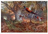 Oak Canvas Paintings - Pheasants Through the Oak Wood